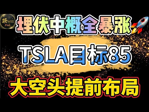 美股投资｜埋伏中概股全部暴涨起飞.特斯拉TSLA重磅来袭目标价格85?大空头提前布局#SPY#BABA#JD#BIDU#PDD#NVDA#中概股｜美股趋势分析｜美股期权交易｜美股赚钱｜美股2024