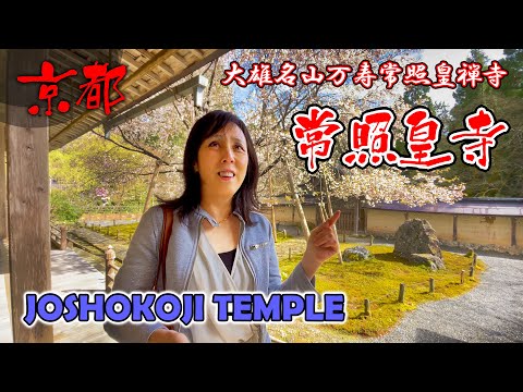 【知らなかった京都の禅寺】観光地感が薄く心癒されたいなら来てみて。