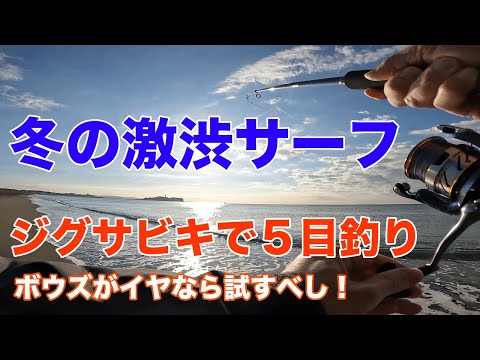 冬の激渋サーフでジグサビキによる五目釣り！フランス料理に出る高級魚も釣れたよ。