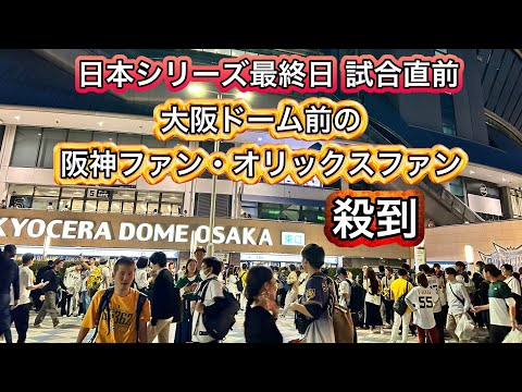 阪神とオリックスファン殺到 京セラドーム大阪前の混雑の様子 日本シリーズ最終日 優勝 地下鉄メトロ