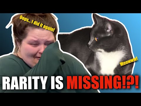 SHE LOST ANOTHER CAT?!?! - Amberlynn Reid Reaction