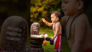 mahadev status video 💫 bholenath status ☘️ Mahakal status #mahadev