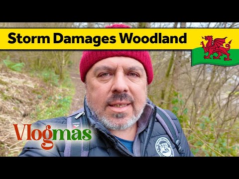 176. Storm Damage Hits Village 🎄 Vlogmas - Living Alone in Wales (December 2024)