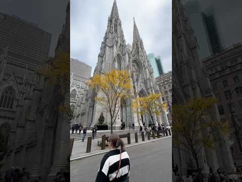 St. Patrick's Cathedral #5thavenue #nyc