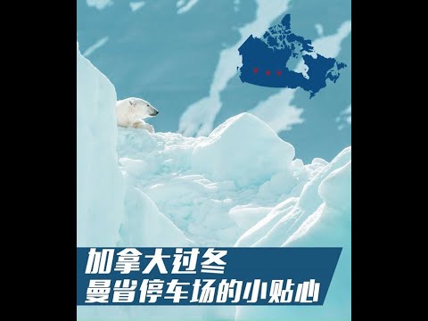 加拿大過冬, 曼省停車場和安省有什麼不同? 提醒司機注意~加拿大親身生活經驗分享~