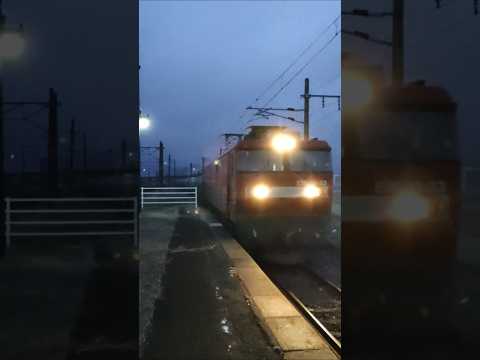 【金太郎 EH510-33牽引】東北本線の石油貨物列車 #shorts #貨物 #貨物列車 #貨物列車eh500 #eh500金太郎 #石油貨物 東北本線 #鉄道 #jr貨物