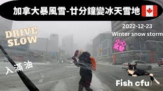 加拿大暴風雪-廿分鐘變冰天雪地-多倫多落雪實況-2022 winter snow storm in Toronto Canada