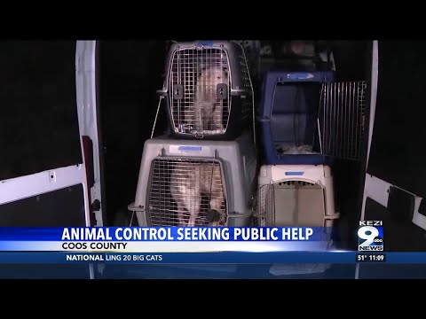 Coos County Sheriff's Office seeking public help with animal control