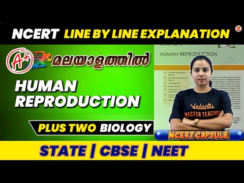 Human Reproduction| Plus Two Biology | State| CBSE|NEET| NCERT Line by Line