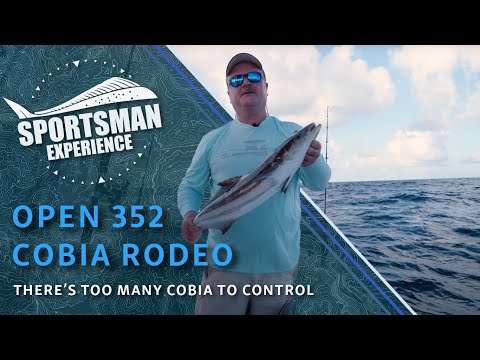 The Sportsman Experience Shorts - It's A Cobia Rodeo