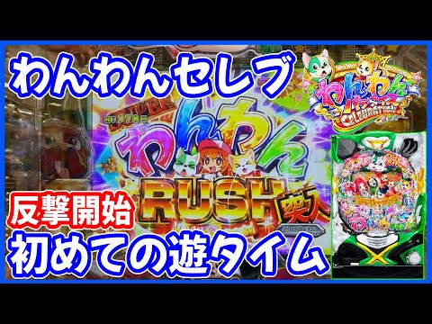 【PAわんわんパラダイスCELEBRATION】新しいわんパラで遊タイムから反撃開始した結果