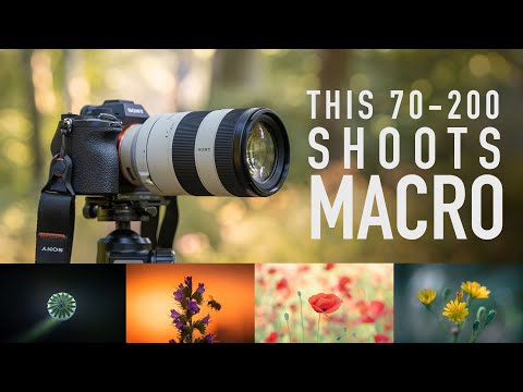 The Sony 70-200 f/4 Macro for Nature and Landscape Photography!