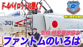 Japanese Air Force F4EJ/EJkai Phantom