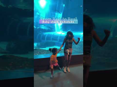 Sea aquarium Singapore 🇸🇬 #seaaquariumsingapore #Singapore #babyshark