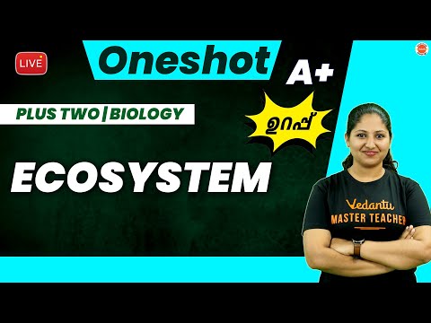 Ecosystem in Oneshot | Plus Two Biology | Anchana Ma'am