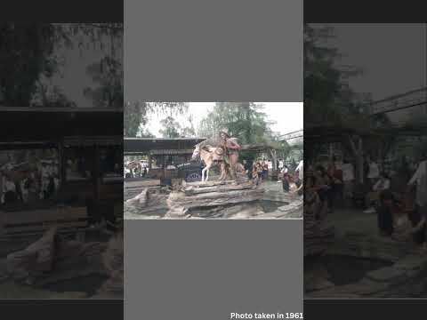 Vintage NEVER SEEN BEFORE Black & White Photos of Knotts Berry Farm in the 60s Colorized