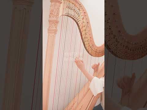 【Harp Cover】A Bite Of China Opening Music - 舌尖上的中國 豎琴 片頭音樂  #cover #anime #harp #bgm #music