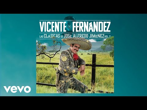 Vicente Fernández - Yo Debí Enamorarme de Tu Madre (Cover Audio)