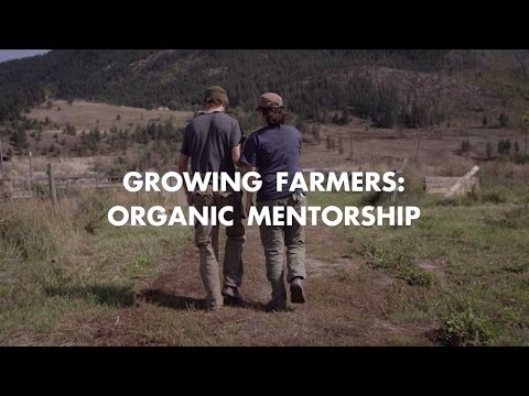 Growing Farmers: Organic Mentorship