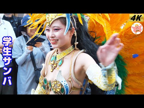 【4K】学生サンバ ひらまぎんざサマーフェスタ 2024 #2 Samba in Japan　2024