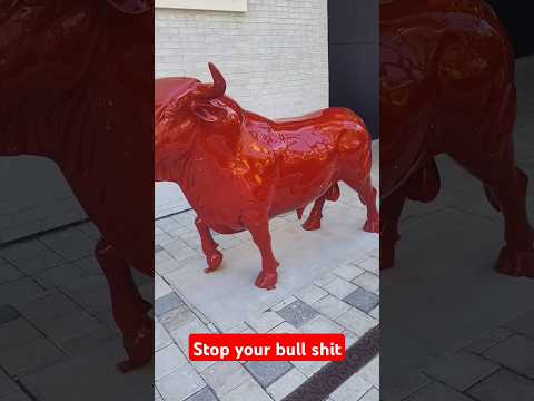 Stop the bull shit #joke #funny #comedy