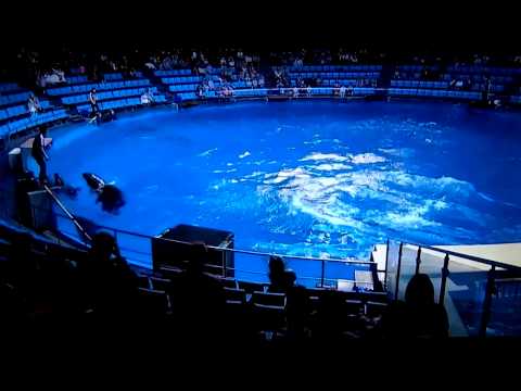 東京　品川水族館　最終日