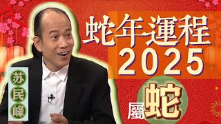 【蛇】.蘇民峰讲解2025 蛇年生肖運程