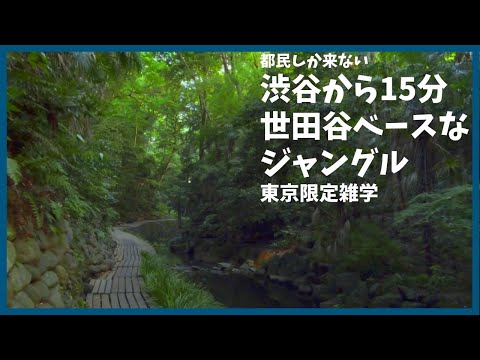 世田谷ベース近くの高級住宅街に大自然が広がっていた【東京】【雑学】【等々力渓谷】【所ジョージ】【都民しか来ない】【デート】【神社】【歴史】【等々力不動尊】【トヨペットクラウンRS】【地形】【解説】