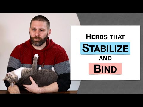 🌿 Herbology 3 Review - Herbs that Stabilize and Bind (Extended Live Lecture)