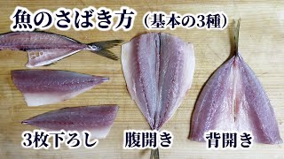 【板前が教える】魚のさばき方！3枚おろし・腹開き・背開きのやり方を解説【初心者向け】