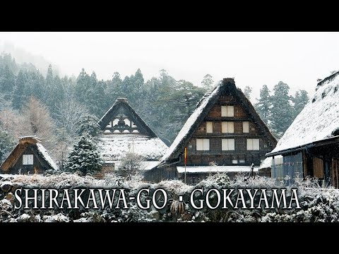 【4K Snowfall】A strong cold wave hit Shirakawa-go and Gokayama. World Heritage site.白川郷・五箇山に強い寒波が到来