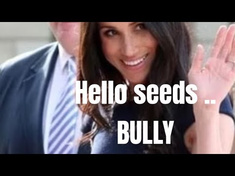 Seeds - thank you YouTube for correcting mass reporting