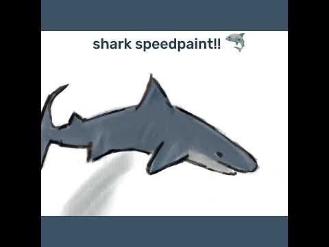 🌊 | #edit #art #shark #sharks #drawing #ibispaint #ibispaintx #foryou #fy #editor #shortsfeed #fypp