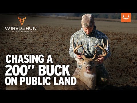 Chasing a 200" Buck on Public Land All Season long with Clint Campbell | Wired to Hunt Ep. 849