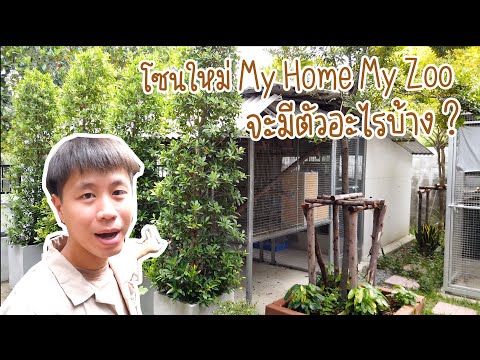 โซนใหม่ของ My Home My Zoo จะมีตัวอะไรบ้าง?