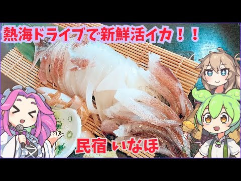 [活イカ]民宿 いなほへ行くのだ[海鮮丼]