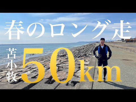 【春のロング走】仲間と苫小牧で50km走