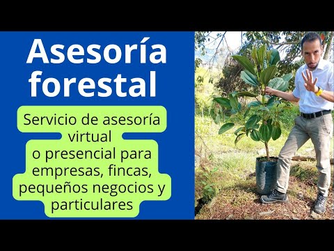 ASESORÍA FORESTAL PROFESIONAL