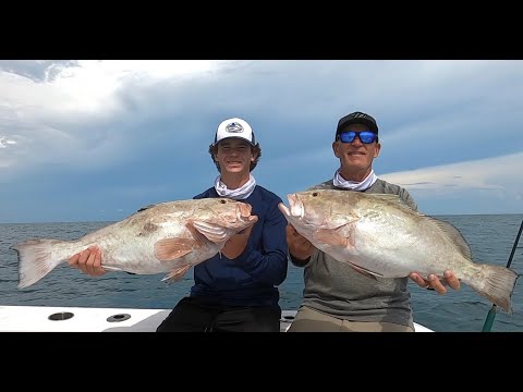 Father & Son Grouper and Snapper Limit