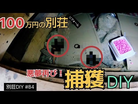 【別荘DIY #84】こうなることはわかっていただろDIY！／貯めた小遣い100万円で築41年190坪土地付き別荘買った！