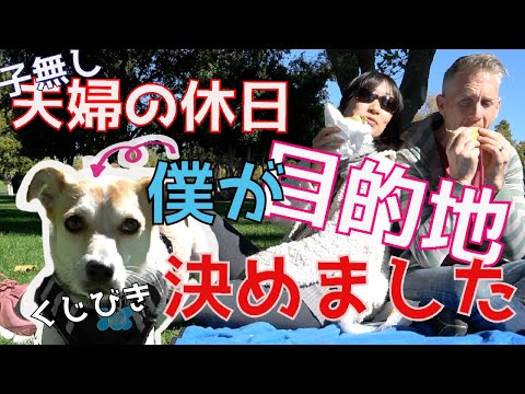 【子無し夫婦の休日】犬でくじ引きチャレンジ！くじで休日のお出かけ場所決めました。ラスベガス子無し夫婦の犬中心生活VLOG｜アメリカ生活｜海外生活