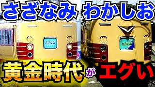 【最盛期】さざなみとわかしおが房総半島の発展に貢献した時代がありました　#さざなみ #わかしお #内房線 #外房線 #房総夏ダイヤ #房総特急 #183系 #255系 #e257系