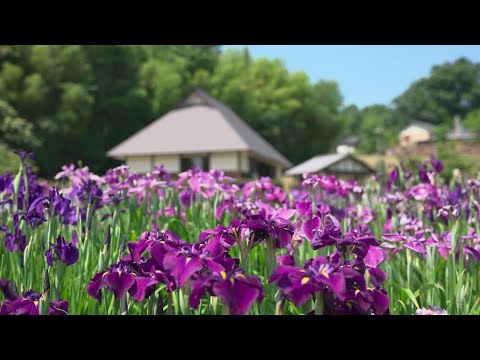 【土岐ぶらキュン】03_織部の里公園周辺・古代ロマンの旅