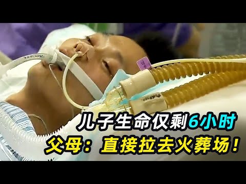 一口气看完5个生离死别，儿子想见父母最后一面，父母：不见