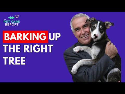 Barking Up The Right Tree - Dog Training 101 with Dr. Ian Dunbar