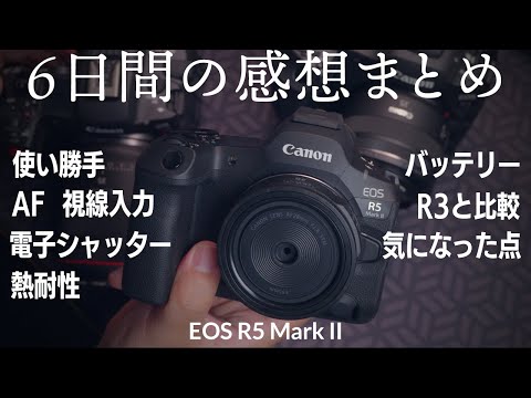 R5 Mark II 6日間使った感想まとめ　電子シャッターは？R3と比べてどう？