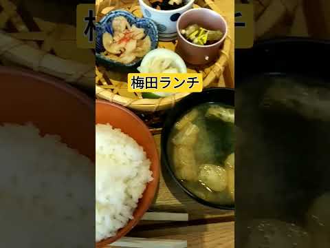 【大阪梅田】ランチおすすめ│添加物不使用│맛집│ランチは予約必須！