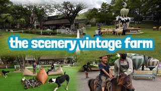 เที่ยว อ.สวนผึ้ง the scenery vintage farm