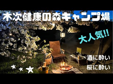 桜と酒に酔いしれて、春の陽気の下またまたやってしまったドタバタ劇