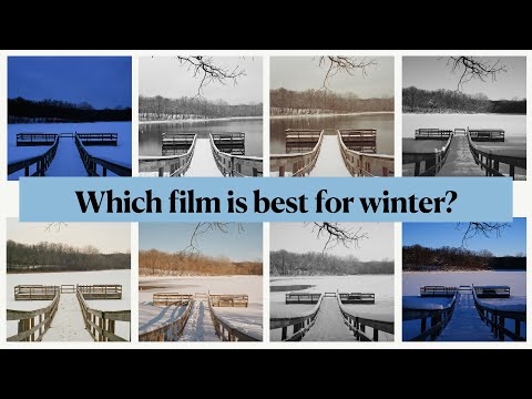 Winter Film Photography: Comparing 30 Different Film Stocks